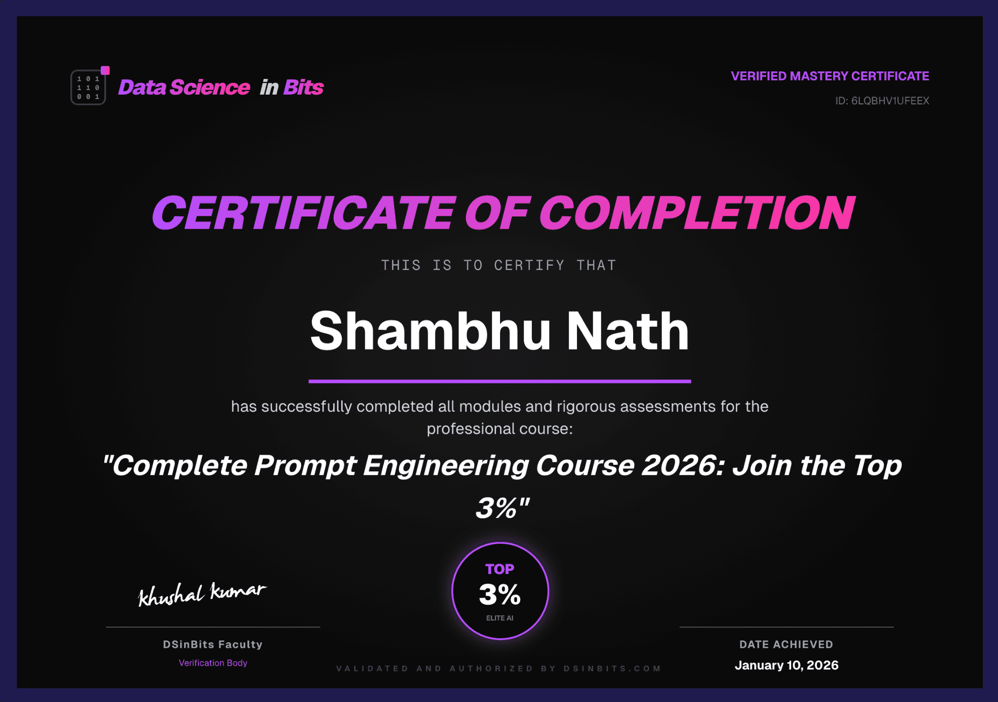 DSInBits Certificate of Completion